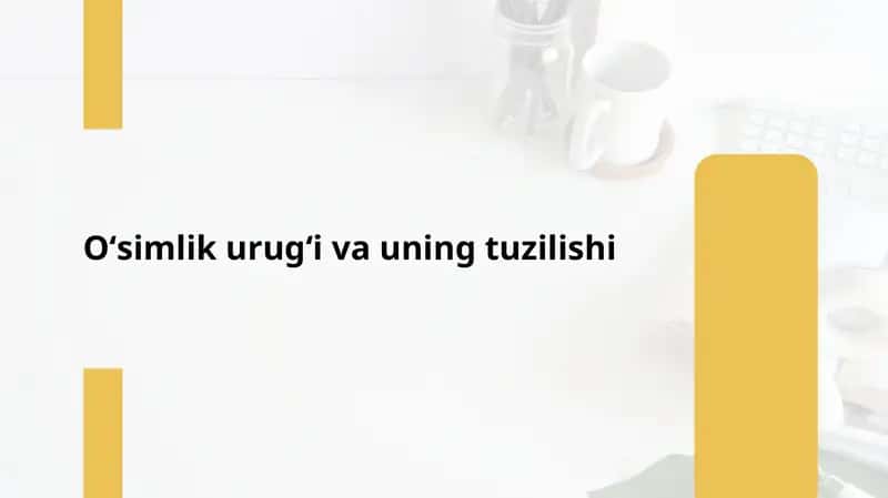 Oʻsimlik urugʻi va uning tuzilishi 1