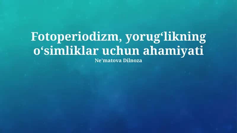 Fotoperiodizm, yorugʻlikning oʻsimliklar uchun ahamiyati 1