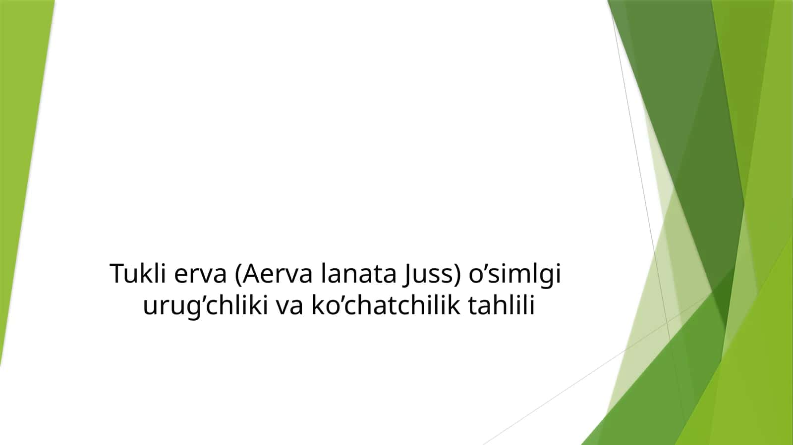 Tukli erva (Aervalanata Juss) o’simlgi urug’chligi va ko’chatchilik tahlili 1