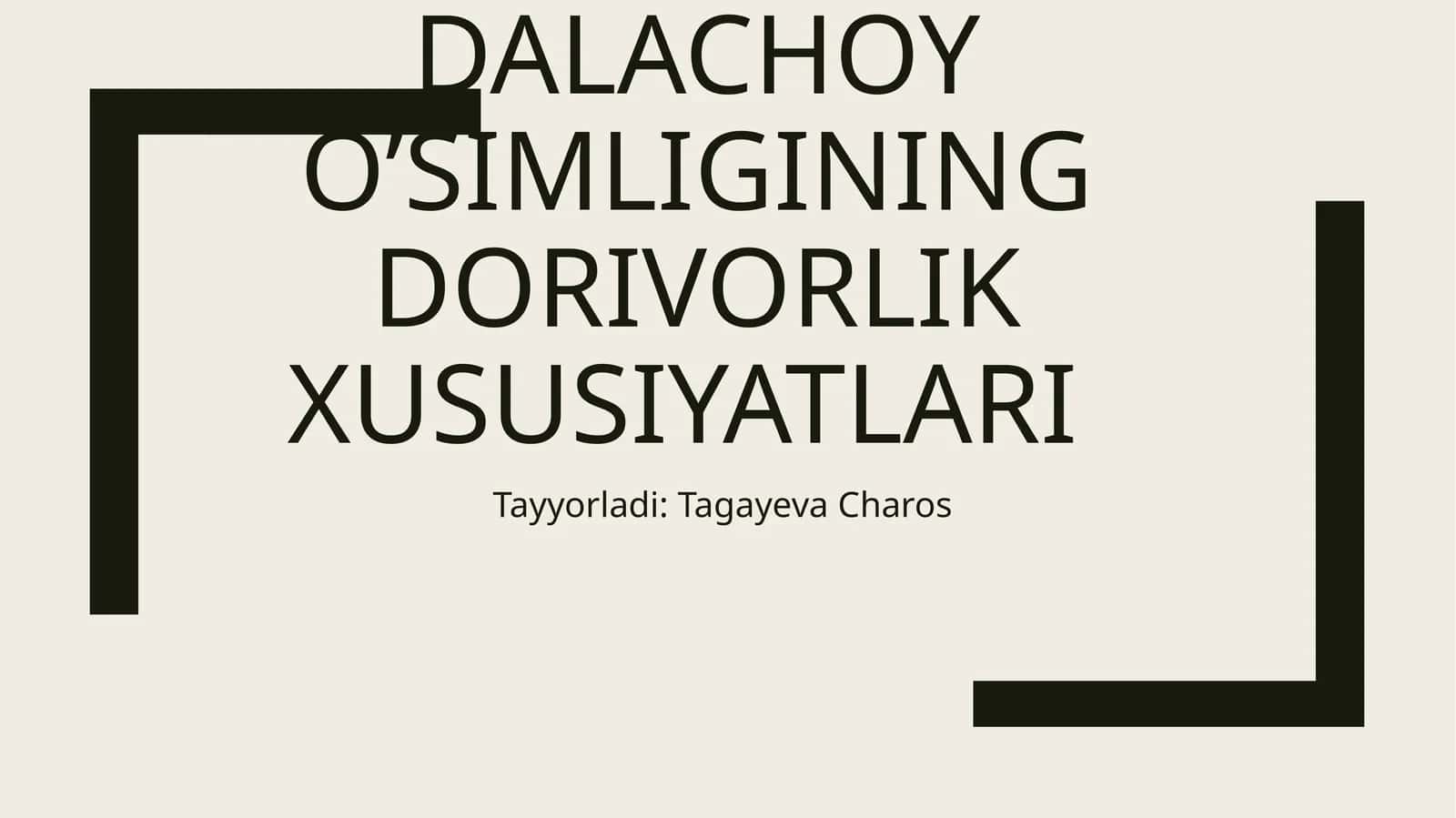Dalachoyning o’simligining dorivorlik xususiyatlari 1