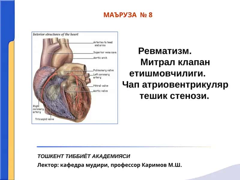 Ревматизм 1