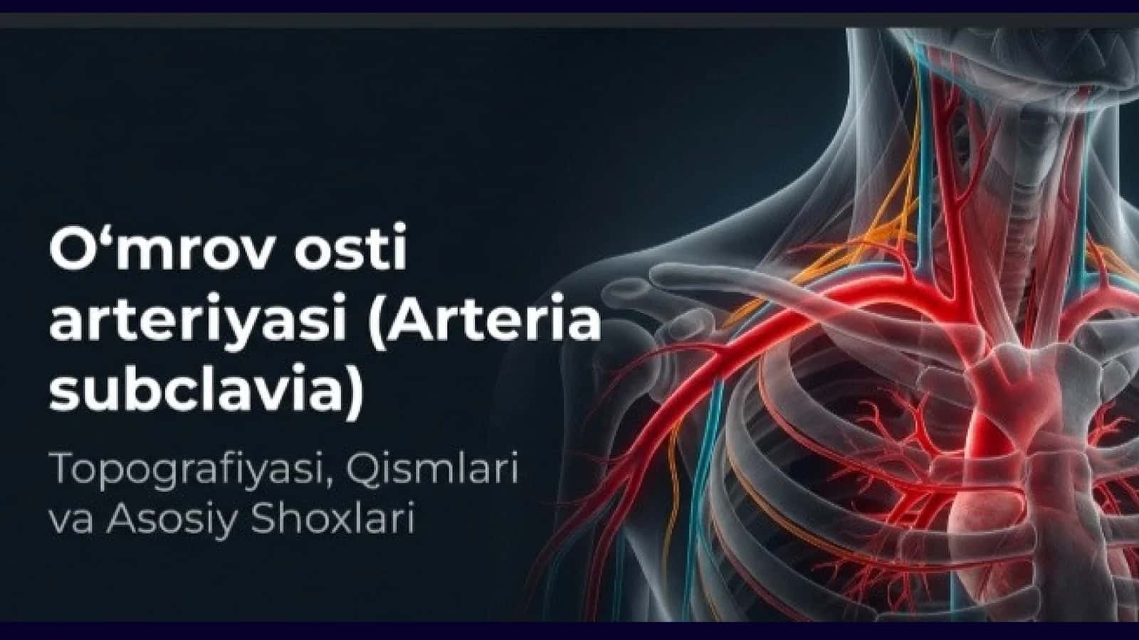 O'mrov osti arteriyasi 1