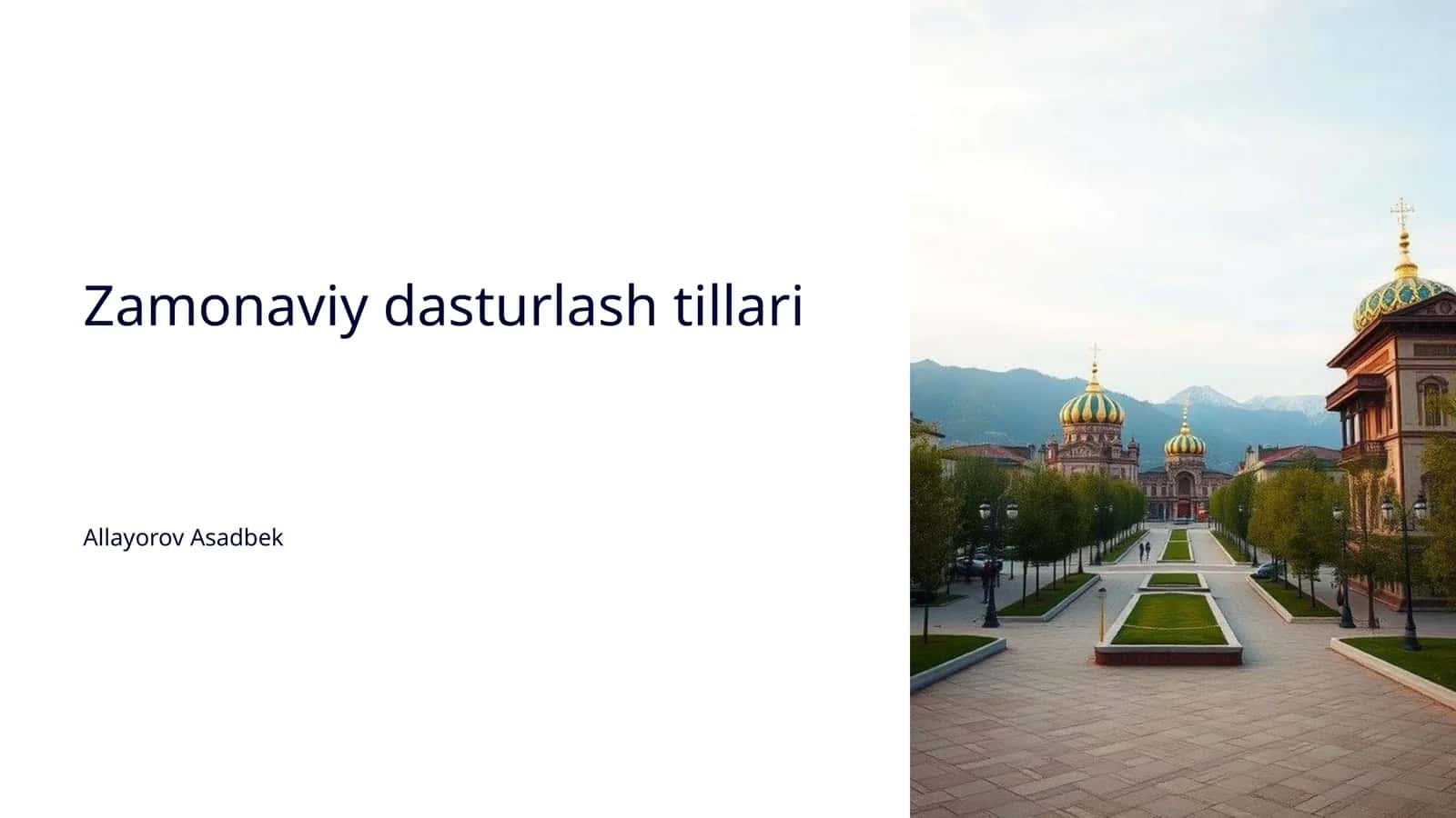 Dasturlash tillarining tarixi 1