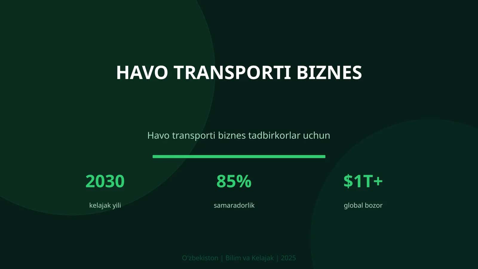 Havo transporti biznes 1