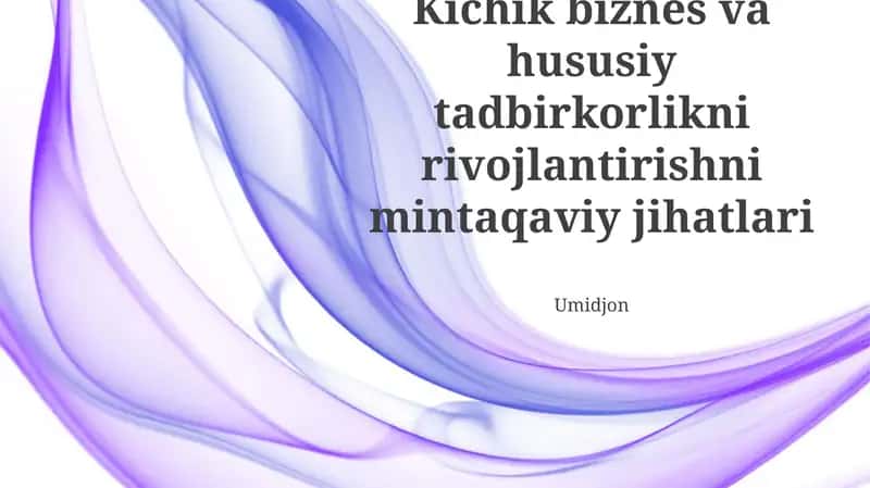 Kichik biznes va hususiy tadbirkorlikni rivojlantirishni mintaqaviy jihatlari 1