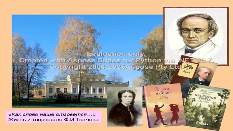 Жизнь и творчество Ф.И.Тютчева 1