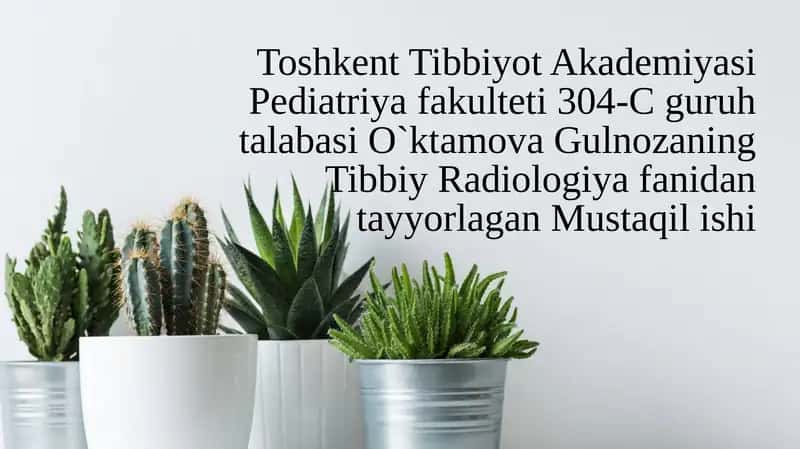 Exokardiografiya 1