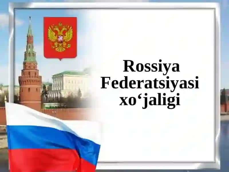 Rossiya Federatsiyasi sanoati