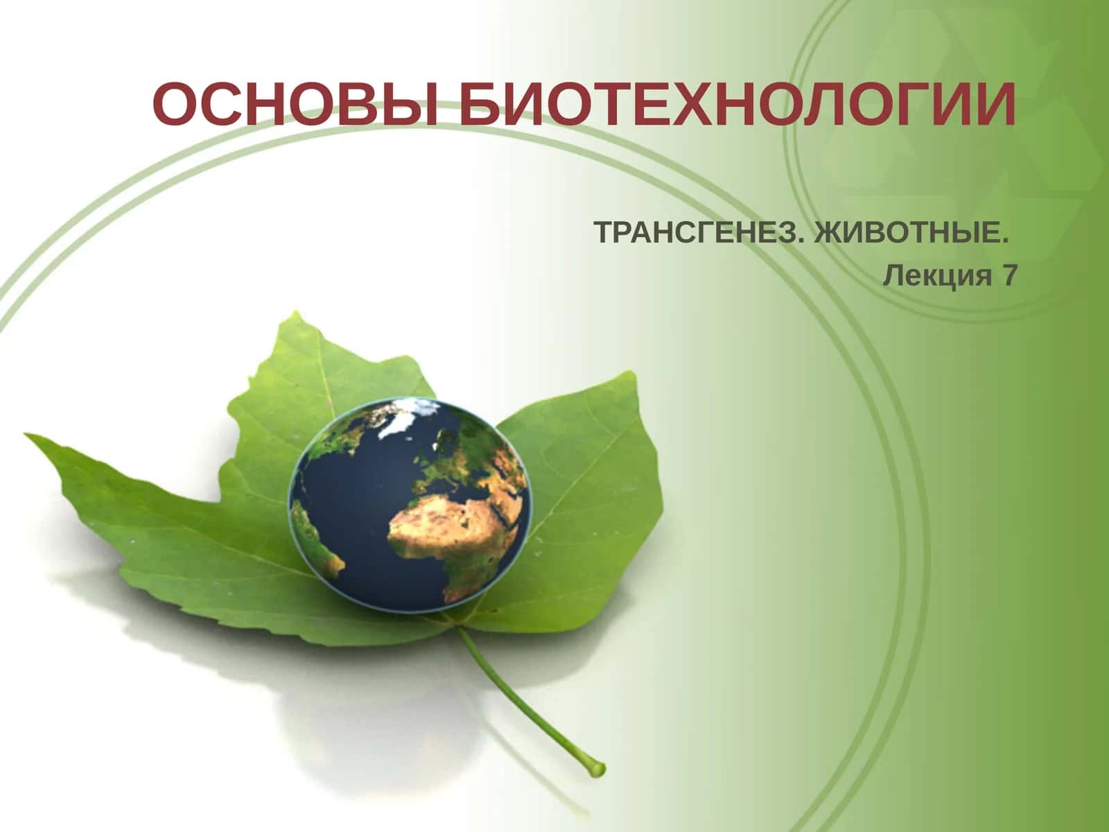 ОСНОВЫ БИОТЕХНОЛОГИИ 1
