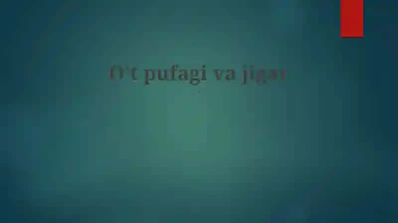 O'pka anatomiyasi va fiziologiyasi