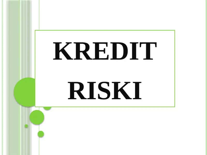 kreditriski 1