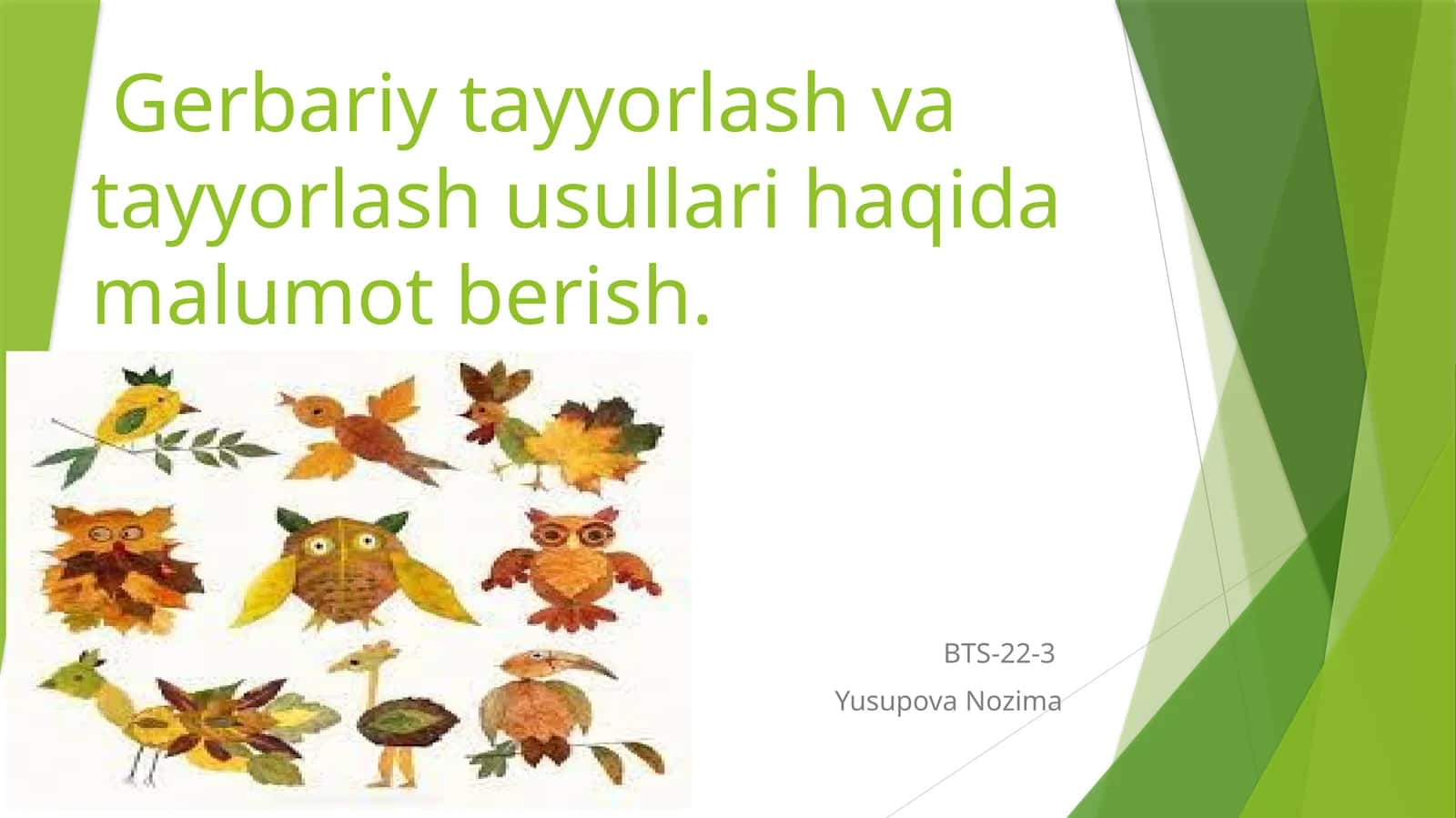 Gerbariy tayyorlash va tayyorlash usullari haqida malumot berish 1