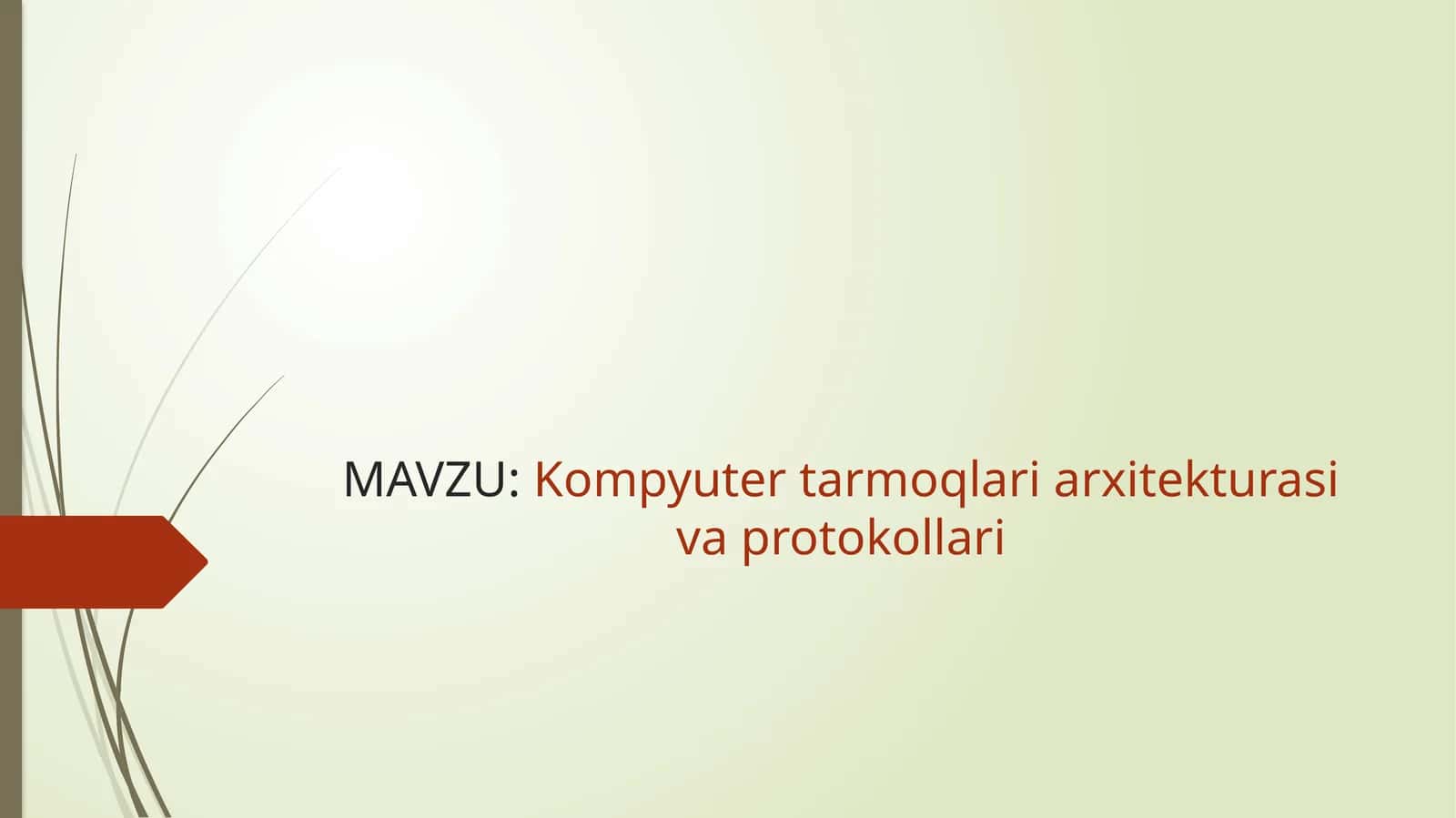 Kompyuter tarmoqlari arxitekturasi va protokollari 1
