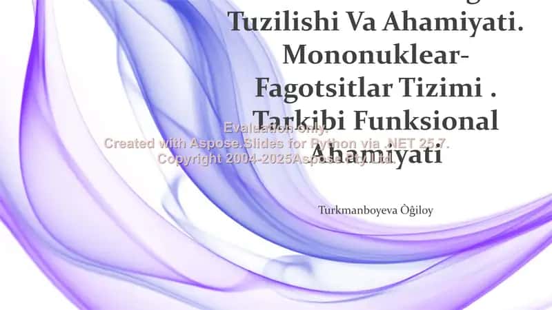 Mezenximaning Tuzilishi Va Ahamiyati. Mononuklear-Fagotsitlar Tizimi. Tarkibi Funksional Ahamiyati 1