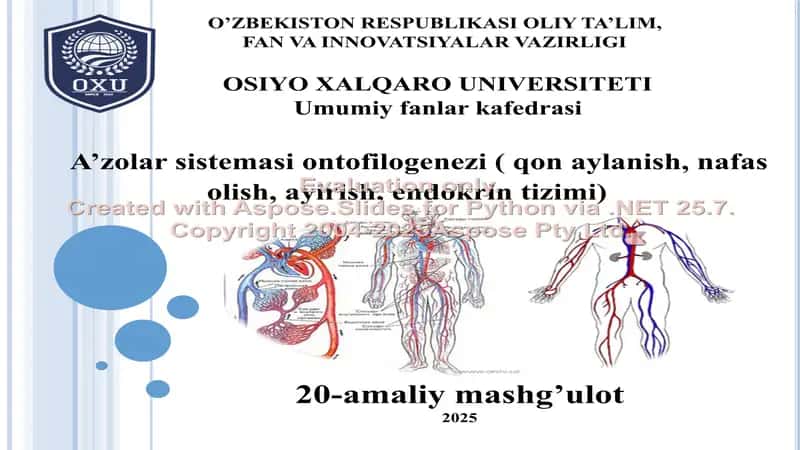 A’zolar sistemasi ontofilogenezi 1