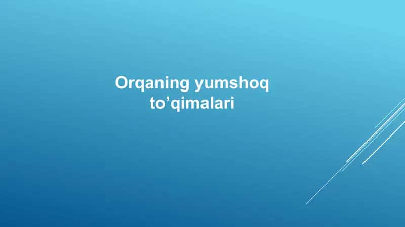 Orqaning yumshoq to’qimalari Yuza to’qimalar 1