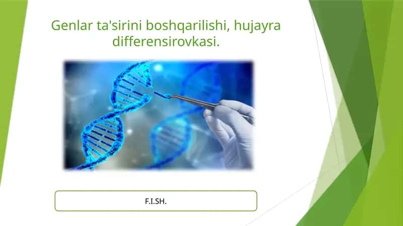 Genlar ta'sirini boshqarilishi, hujayra differensirovkasi. 1