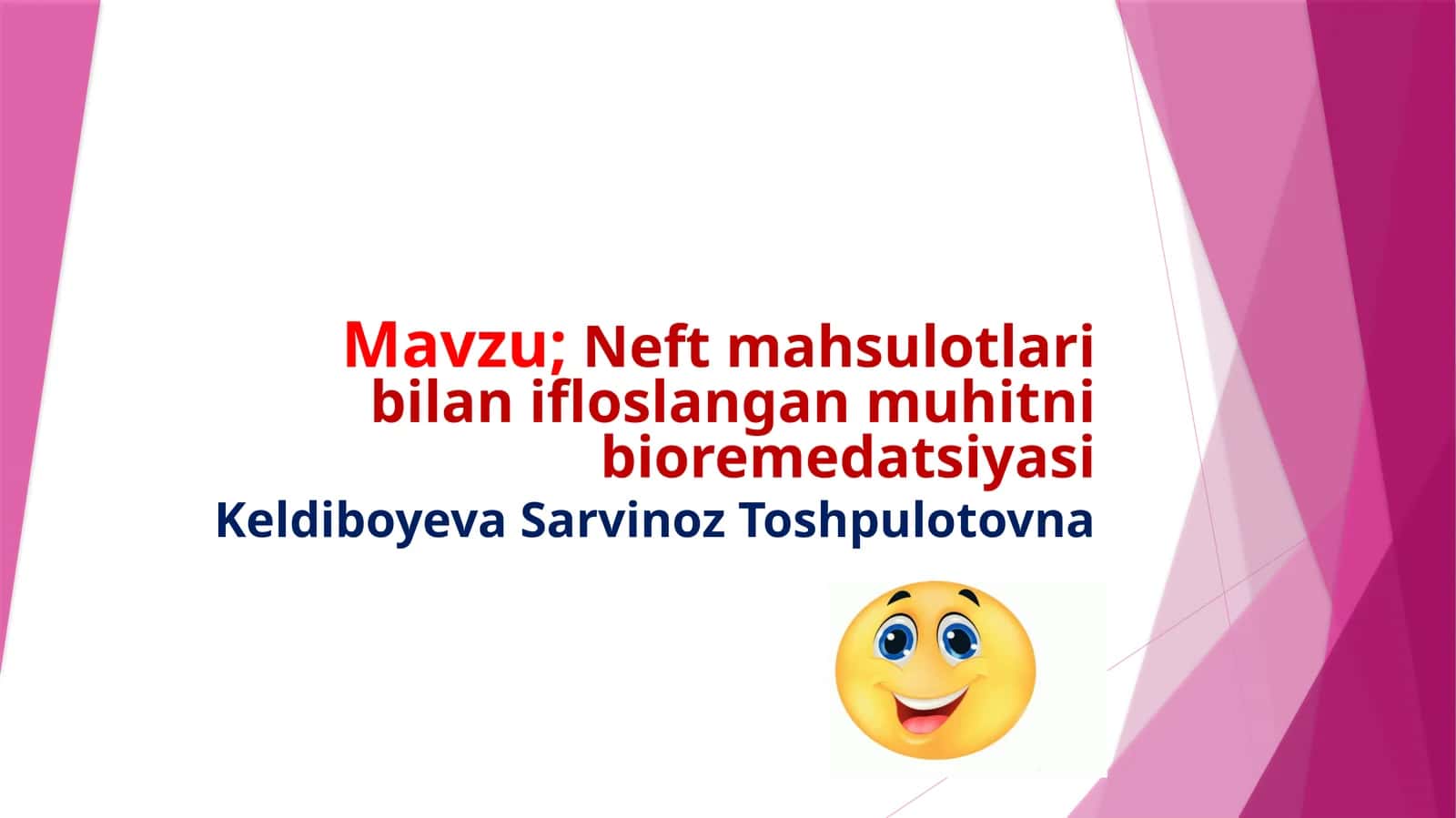 Neft mahsulotlari bilan ifloslangan muhitni bioremidiatsiyasi 1