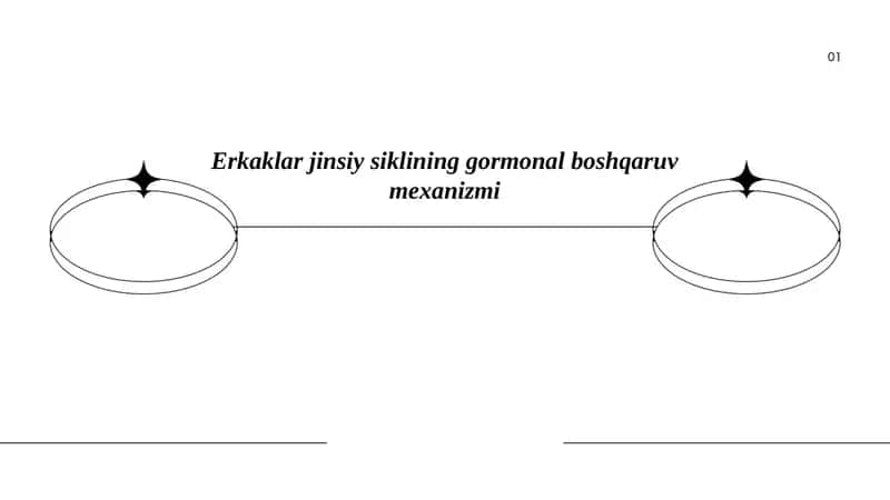 Erkaklar jinsiy siklining gormonal boshqaruv mexanizmi 1