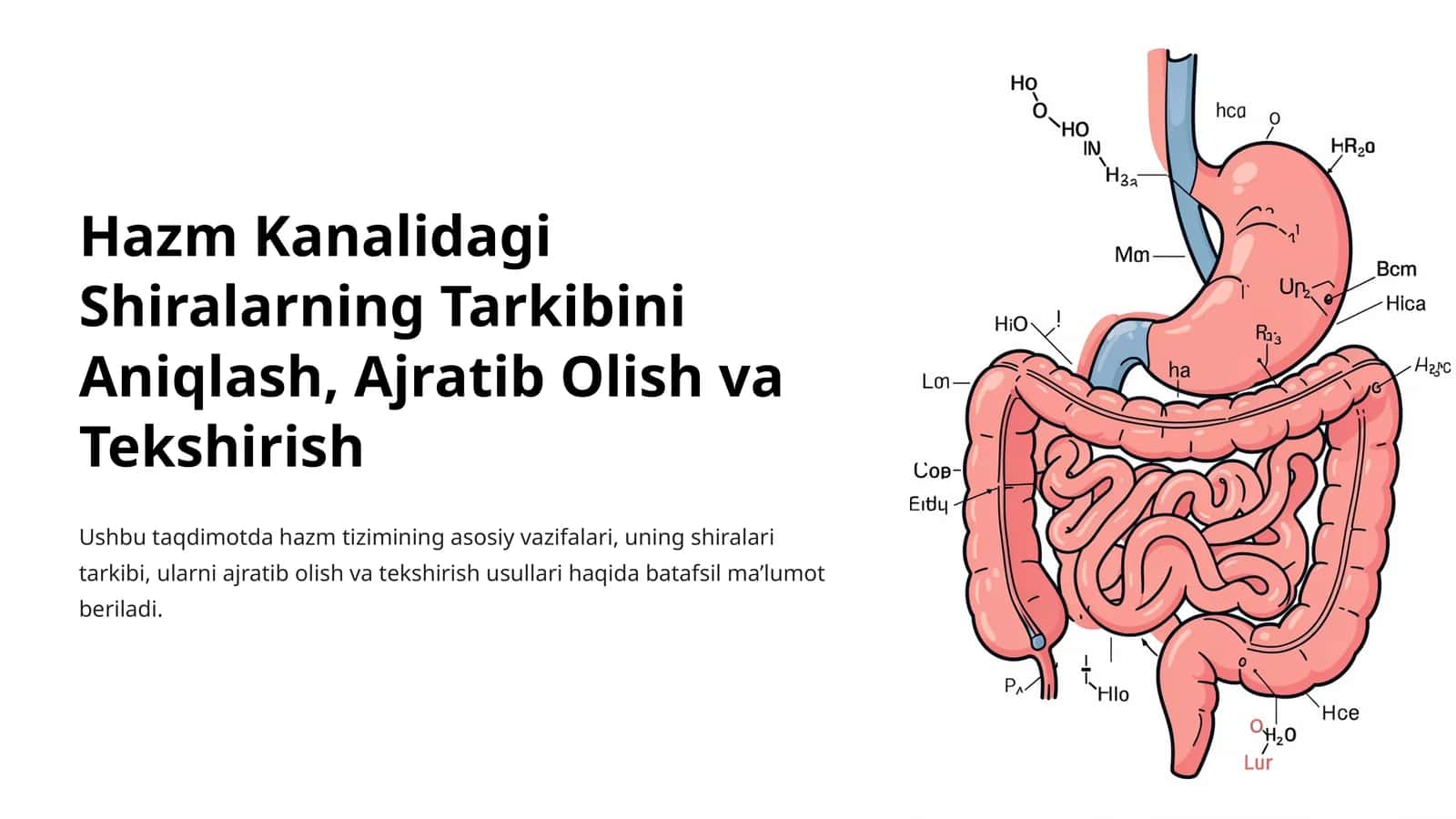 Hazm Kanalidagi Shiralarning Tarkibini Aniqlash, Ajratib Olish va Tekshirish 1