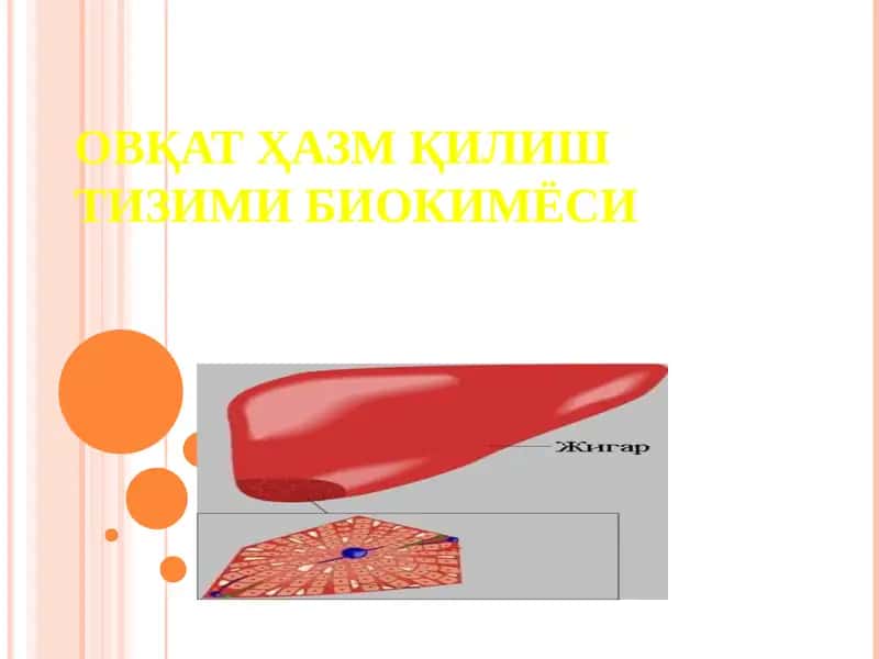 ОВҚАТ ҲАЗМ ҚИЛИШ ТИЗИМИ БИОКИМЁСИ. 1