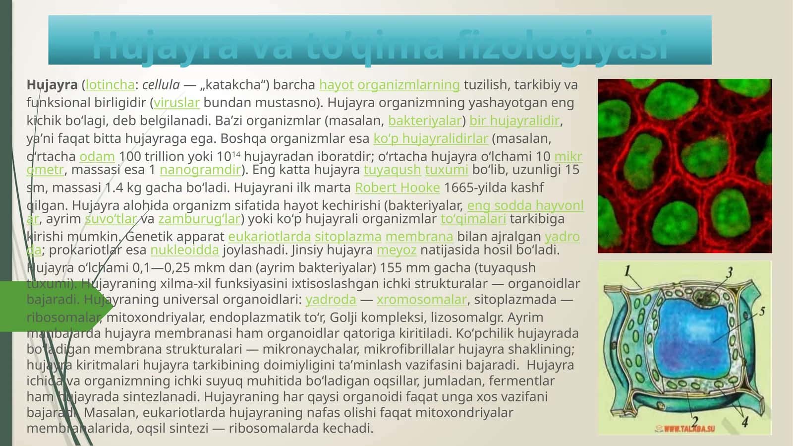 Hujayra va to’qima fizologiyasi 1