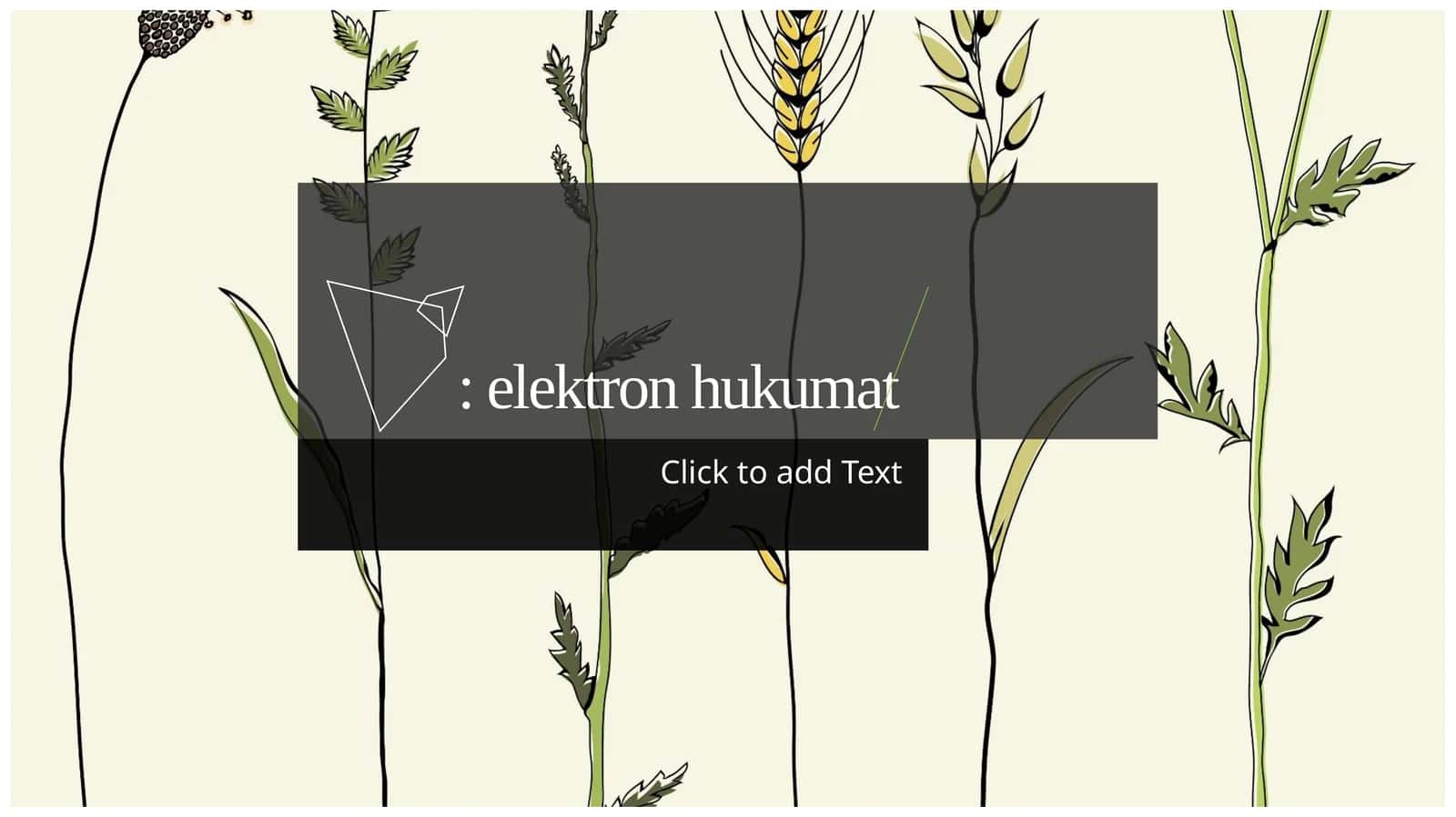 Elektron hukumat 1