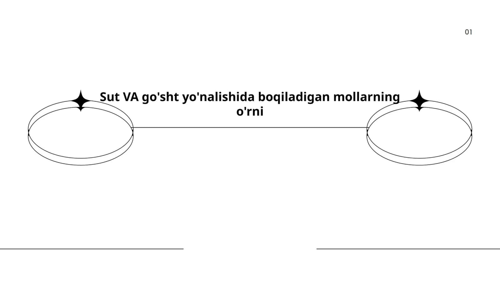 Mol go'shti xususiyatlari 1