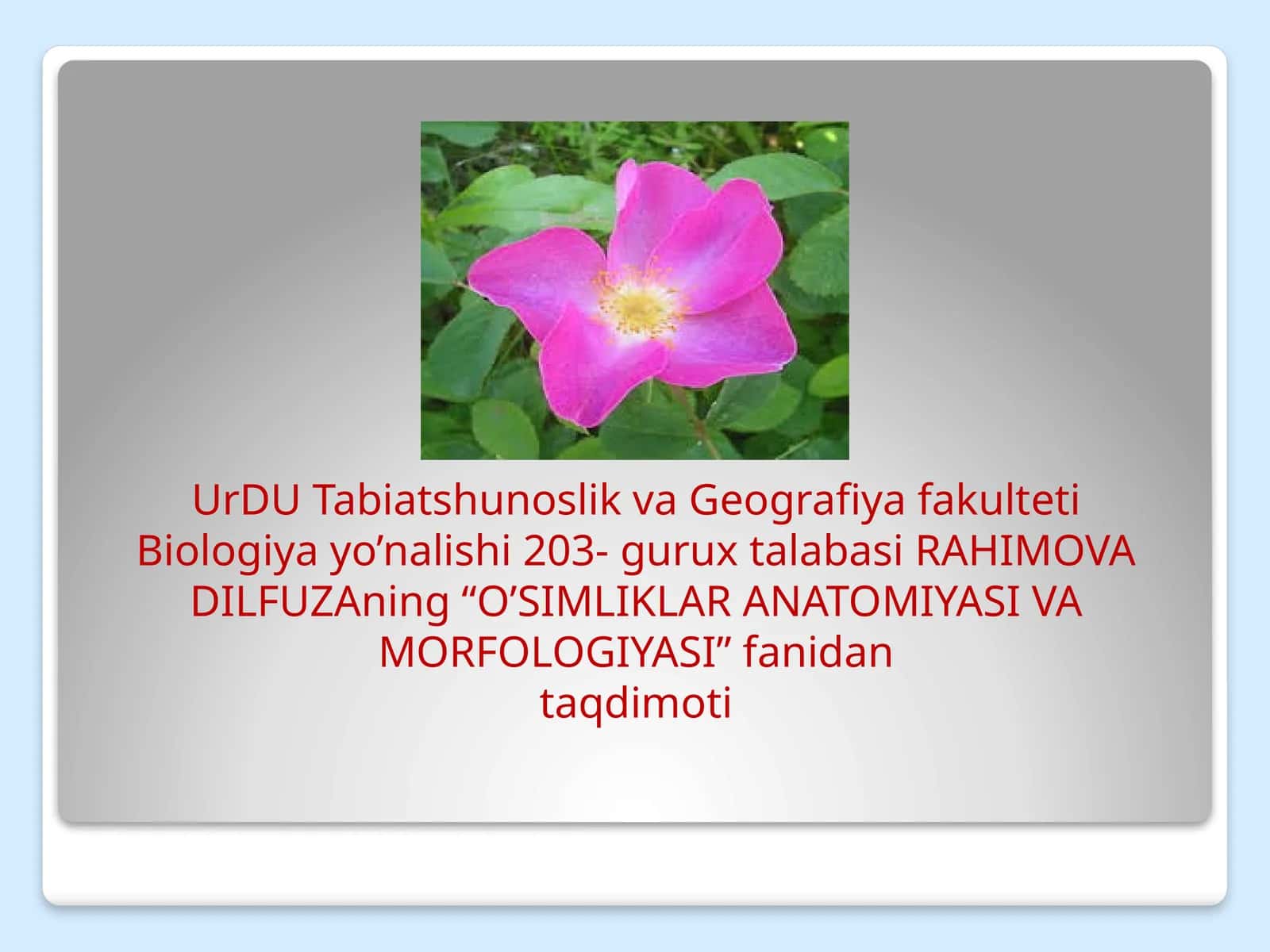 O’SIMLIKLAR ANATOMIYASI VA MORFOLOGIYASI 1