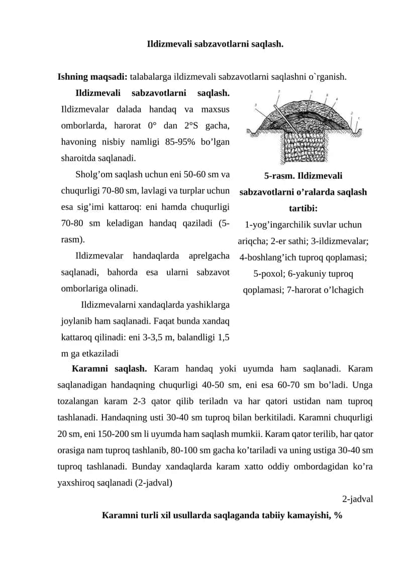 Ildizmevali sabzavotlarni saqlash 1