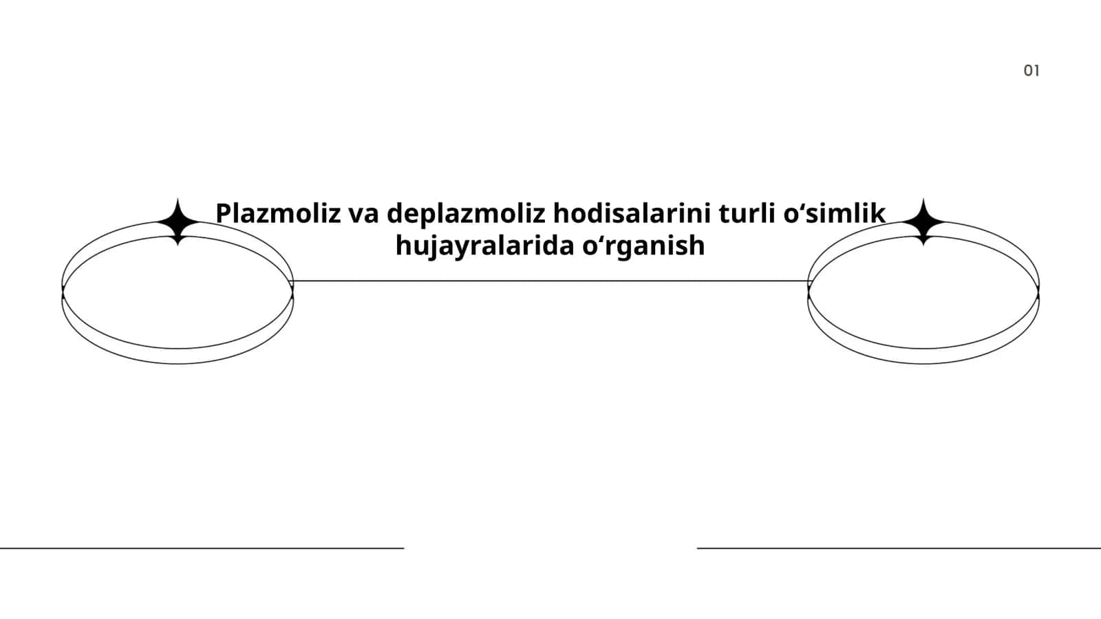 Plazmoliz va deplazmoliz hodisalarini turli oʻsimlik hujayralarida oʻrganish 1