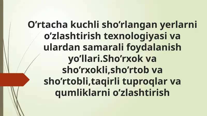 Sho'rlangan Yerlarni O'zlashtirish Texnologiyasi 1