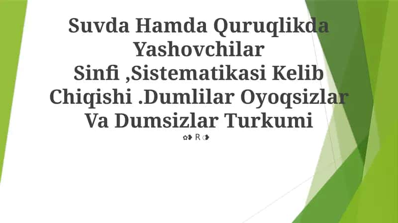 Suvda Hamda Quruqlikda Yashovchilar Sinfi,Sistematikasi Kelib Chiqishi 1