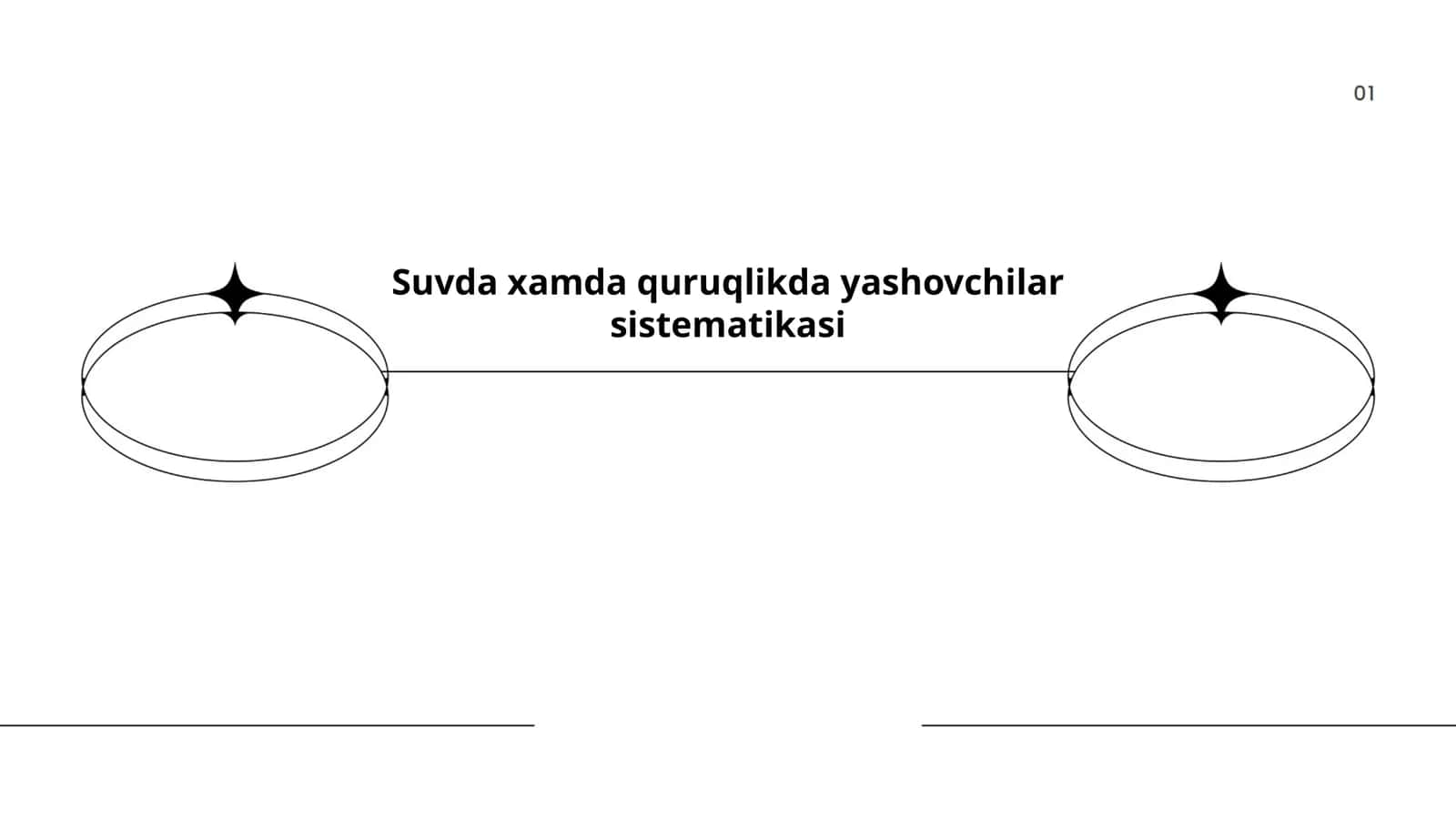 Suvda xamda quruqlikda yashovchilar sistematikasi 1