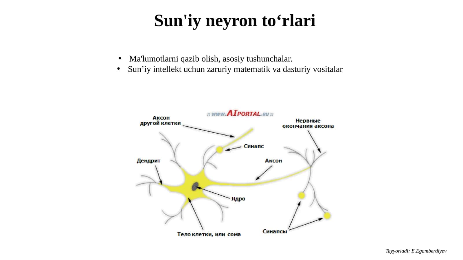 Sun'iy neyron to‘rlari 1