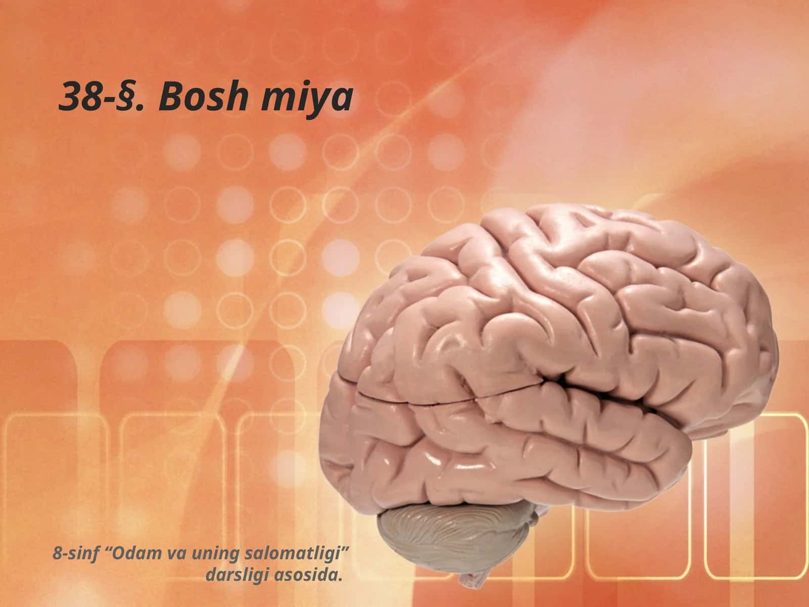 Boshmiya 1