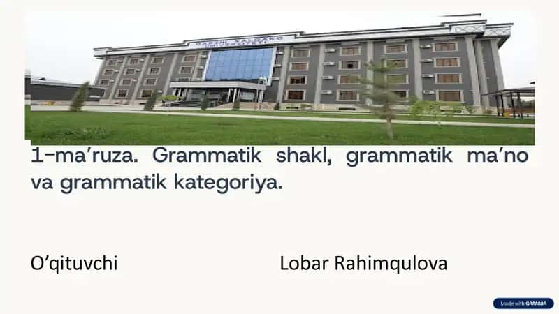 1-ma’ruza. Grammatikshakl, grammatik ma’no vagrammatikkategoriya 1