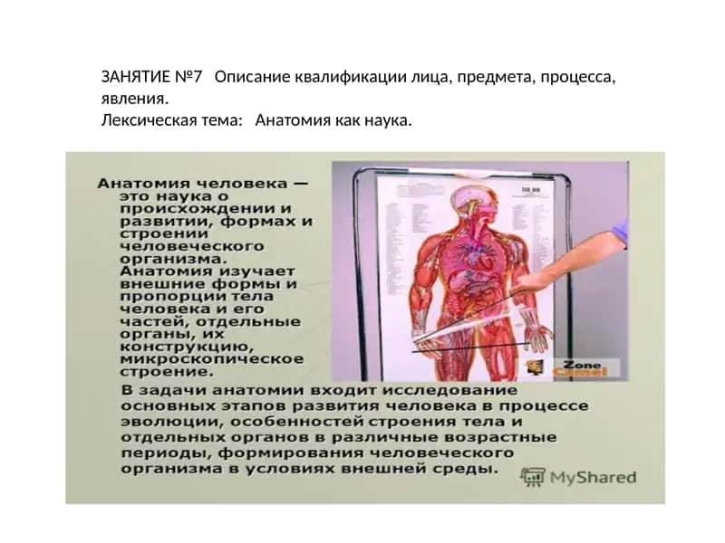 Анатомия и физиология 1