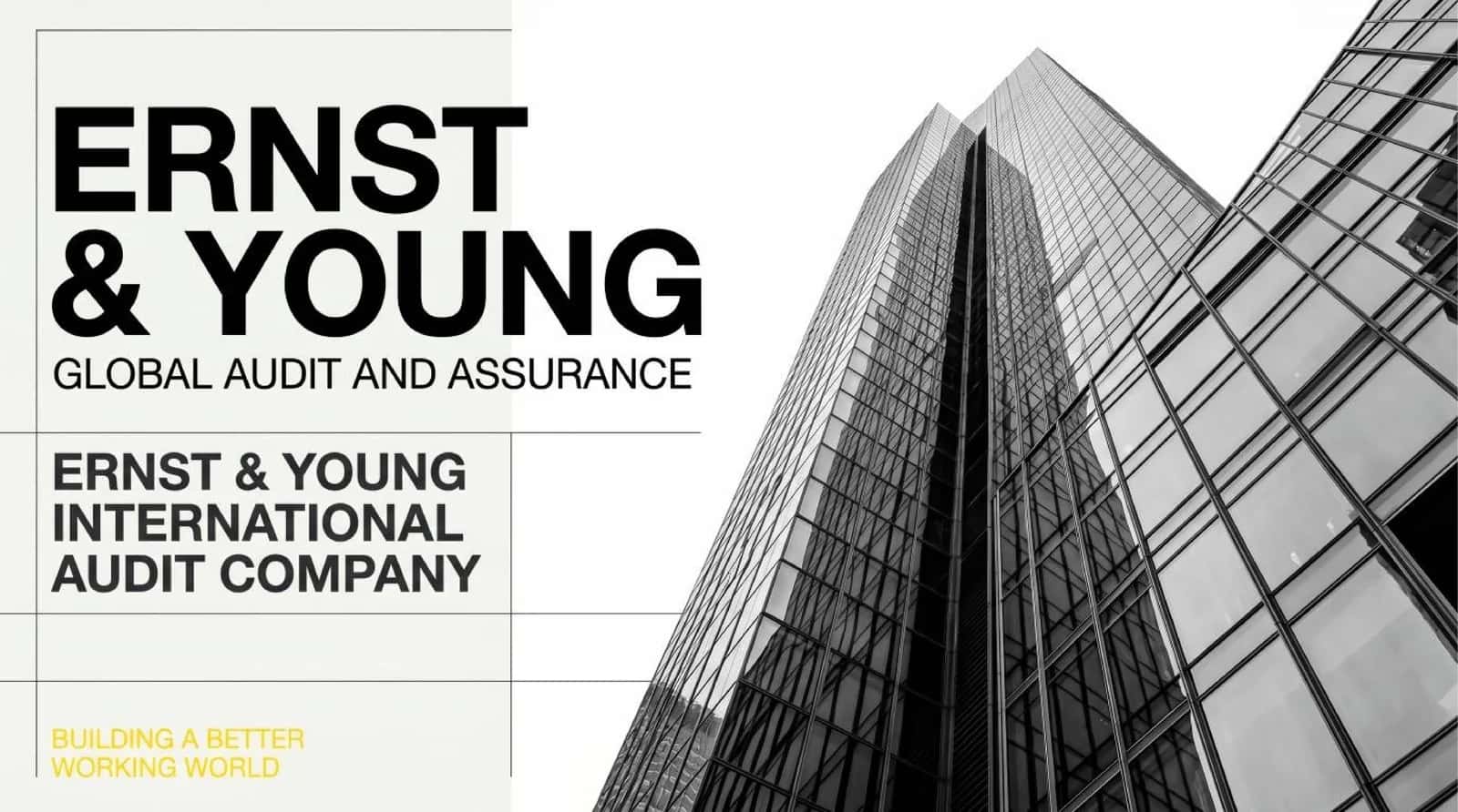 ERNST & YOUNG xalqaro auditorlik kompaniyasi 1