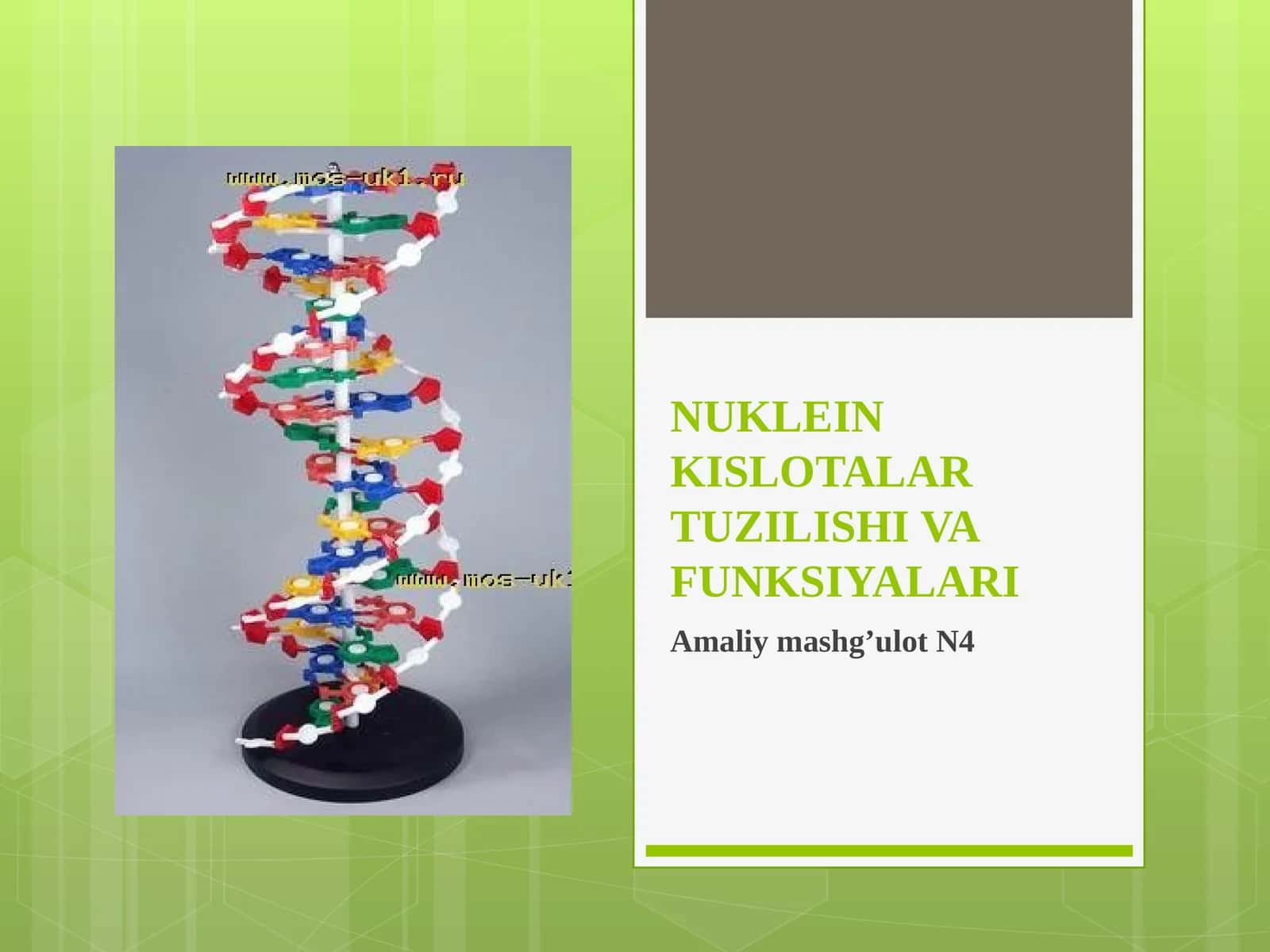 9-sinf Biologiya fanidan dars ishlanma. Nuklein kislotalar 1