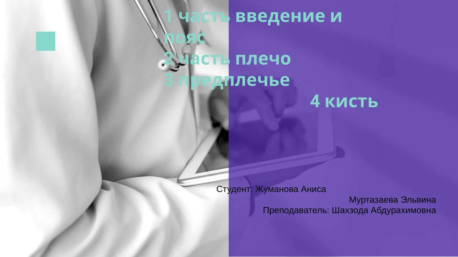 Анатомия плеча 1