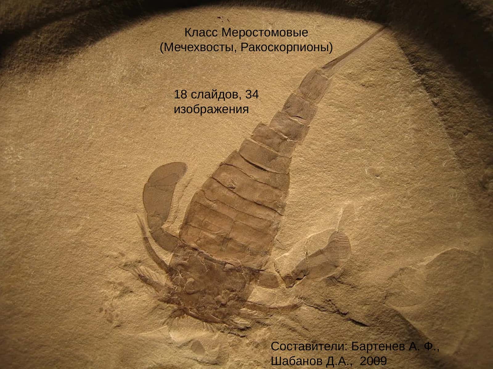 Класс Меростомовые 1