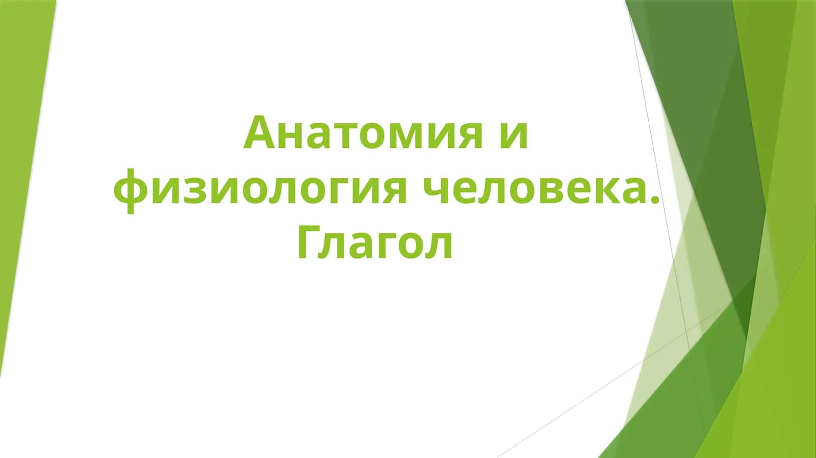 Анатомия и физиология человека. Глагол 1