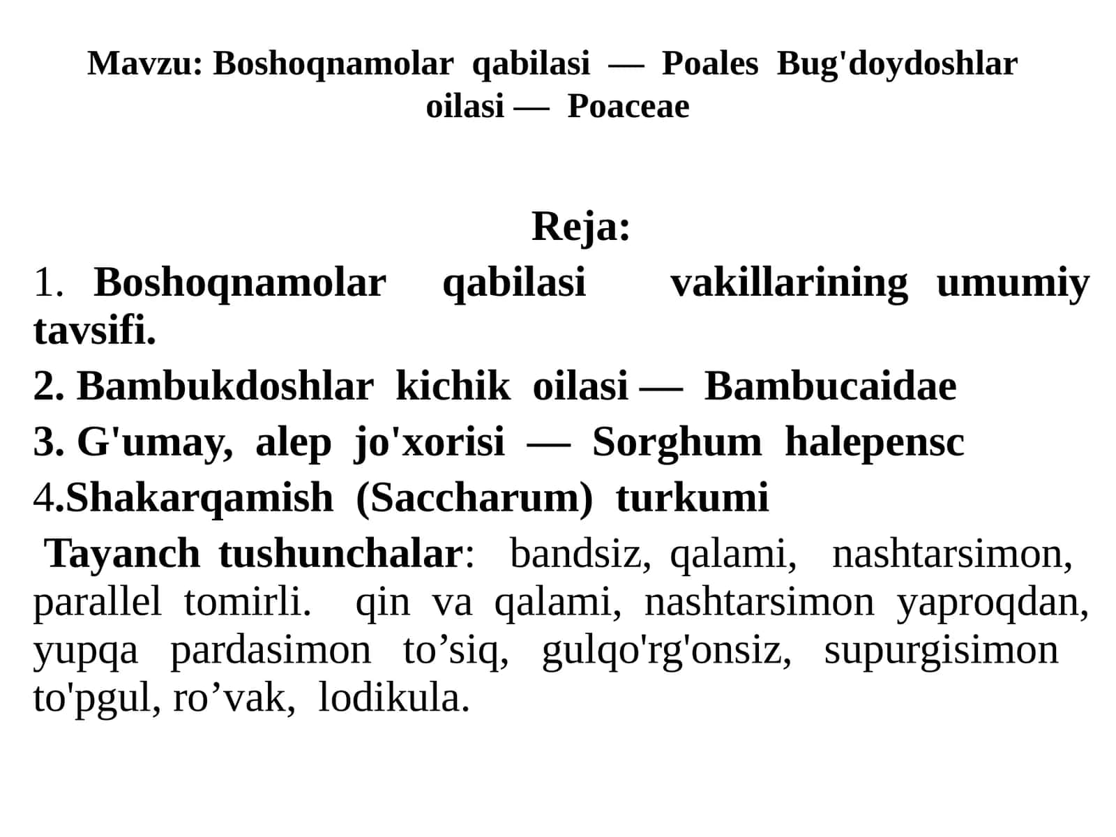 Boshoqnamolar qabilasi—Poales Bug'doydoshlar oilasi—Poaceae 1