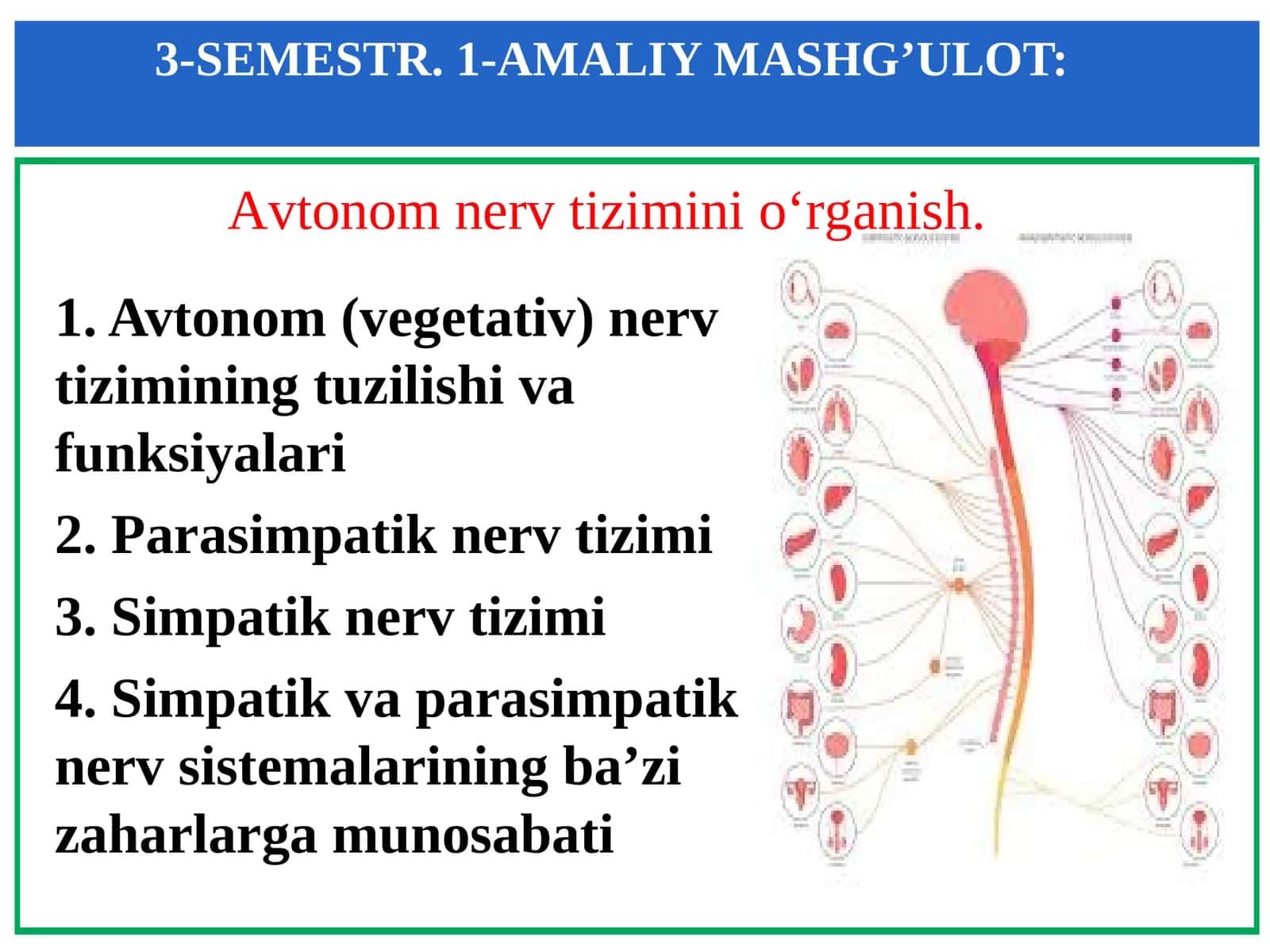3-SEMESTR. 1-AMALIY MASHG’ULOT 1
