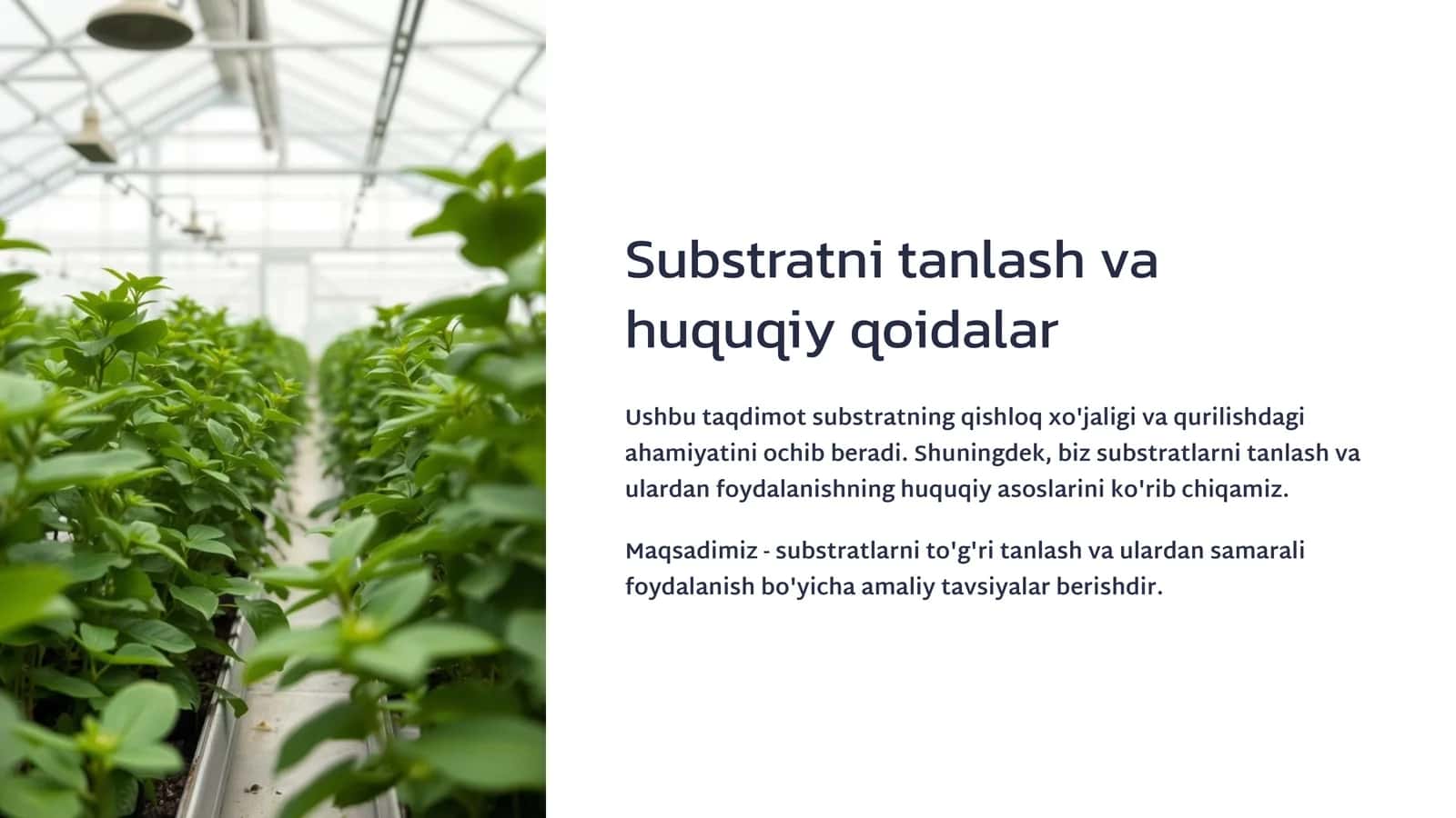 Substratni tanlash va huquqiy qoidalar 1