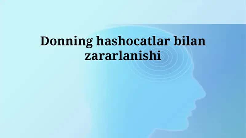 Donning hashocatlar bilan zararlanishi 1