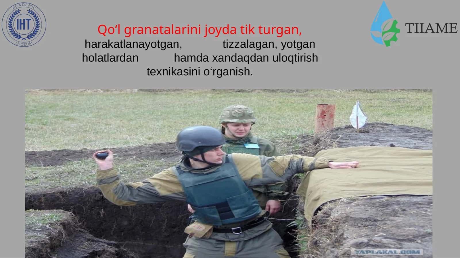 Jangovar granatalar 1