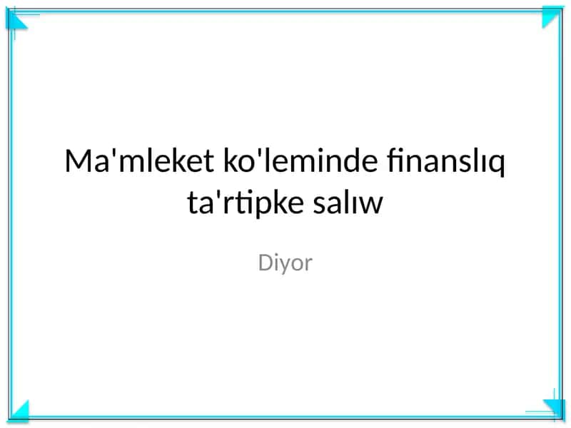 Ma'mleket ko'leminde finanslıq ta'rtipke salıw 1