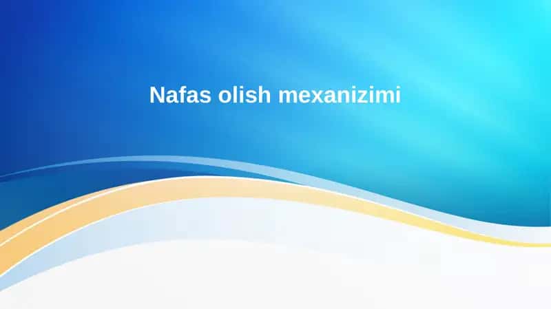 Nafas olish mexanizimi 1